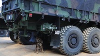 Working Like a Military Working Dog