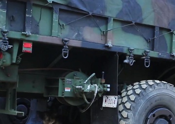 Working Like a Military Working Dog