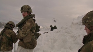 Cold Response 16: Village Fight Teaser