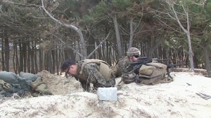 Building Defensive Positions