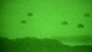 Night Airborne Operation Feb. 24, 2016