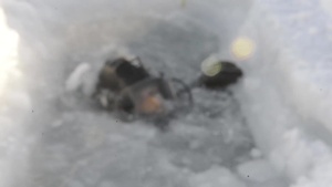 Divers at ICEX 2016