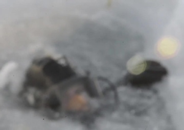 Divers at ICEX 2016