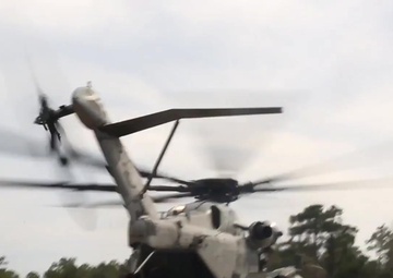 Building a Bond: Dutch Marines strengthens battle tactics