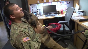 Soldier and Dog Reunited