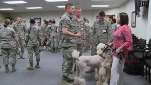 Therapy Dogs