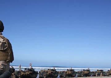 3rd Assault Amphibian Battalion Conducts Nine-Mile Hike, Warriors Night to Celebrate 68th Anniversary