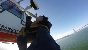 MSST San Francisco K-9 Vertical Delivery