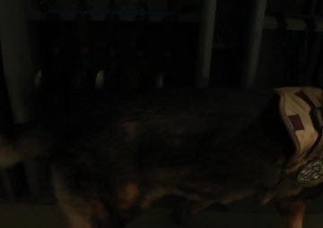 Unmuzzling Military Working Dogs, Part 1/4 -- Patrol Explosive Detection Dog (no graphics)