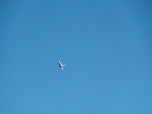 Shaw Air Expo and Open House Viper Demonstration Team Spot