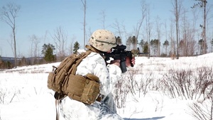 Reserve Marines focus on defensive tactics to counter national crises during exercise Arctic Eagle