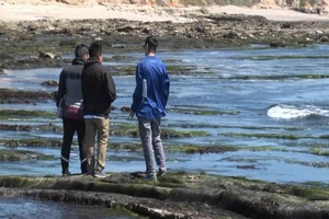 College Biology Class Visits Vandenberg Tidepools