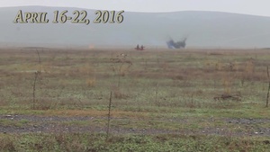 Platinum Lynx 16-4 Teaser video