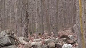 2016 Sandhurst Competition B-Roll (North America)