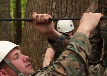 Making the Climb, Bridging the Gap