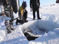Ice Exercise 2016