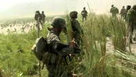 Operation Phoenix