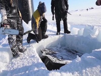Ice Exercise 2016