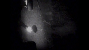 Coast Guard Medevacs Hiker from Tillamook Head