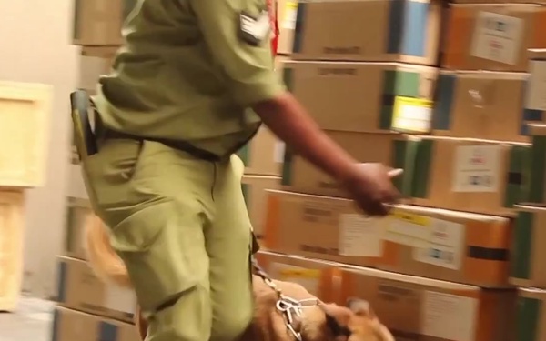 USCBP Ivory and Drug Canine Detectors  Work in Tanzania Airport Cargo Facility