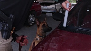 USCBP CBP Canine Trainers at CBP Canine Center, Front Royal Va.