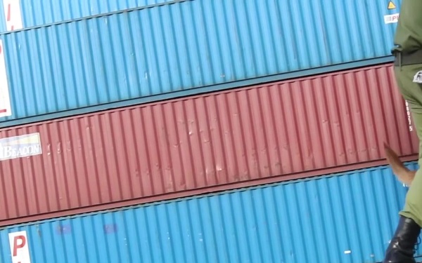 USCBP B-roll Detector Canines and Various Training Aids used in Tanzania