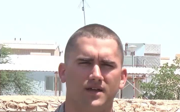 Tampa Bay Ray Shoutout