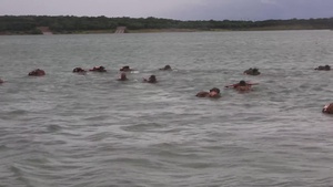 MARFORRES Sailors participate in FMF reconnaissance corpsman screening