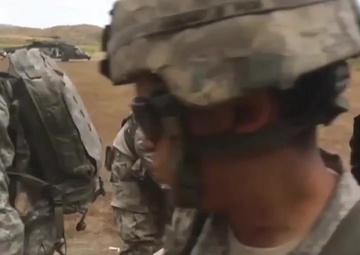 Multinational Risk Management