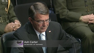 Carter Discusses Counter-ISIL Efforts at Senate Hearing