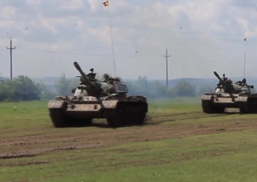 Platinum Lion 16-3 Teaser