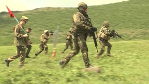 Operation Sharp Griffin