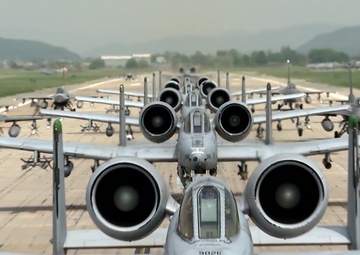 Beverly Herd 16-01 Elephant Walk