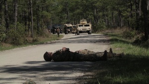 LOCFEX Casualty Evacuation Simulation