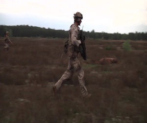 Exercise Hunter