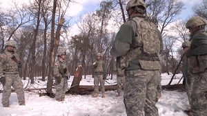 428th Eng Co - Abatis