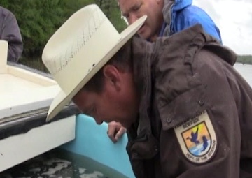 Prehistoric Paddlefish Released into Caddo Lake