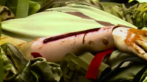 Controlled Chaos: Mass Casualty Exercise