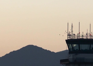 Ben Allen: Keeping the Birds at Bay