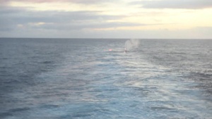 25MM Machine Gun Firing from USS Boxer (LHD4) Fan Tail