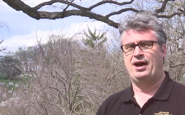 Inside These Hallowed Grounds