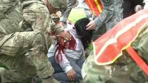 The Lion Response Exercise at Vicenza, 2016