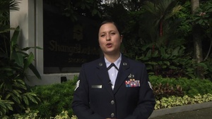 Shangri-La Dialogue 2016 Intro Story (52 sec version)