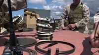 Around the MEF