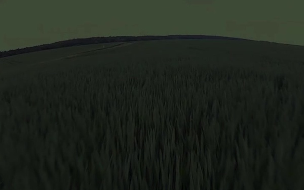 Memorial Day Micro Content