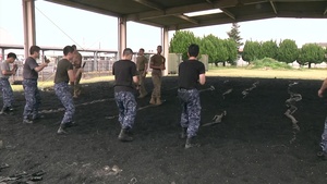 MCMAP instructors aboard MCAS Iwakuni train JMSDF service members