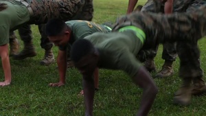 HQSPT BN Physical Training B-Roll