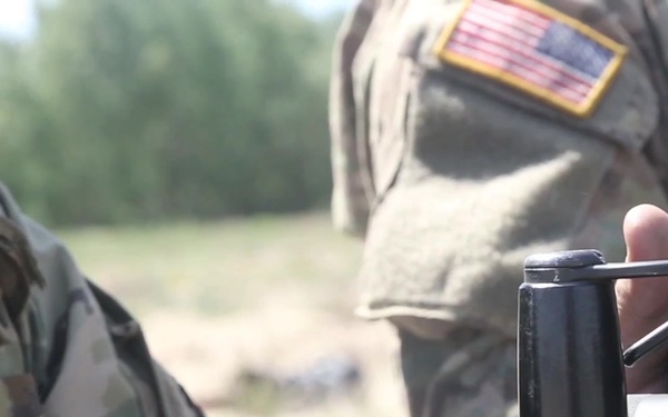 Operation Anakonda 2016