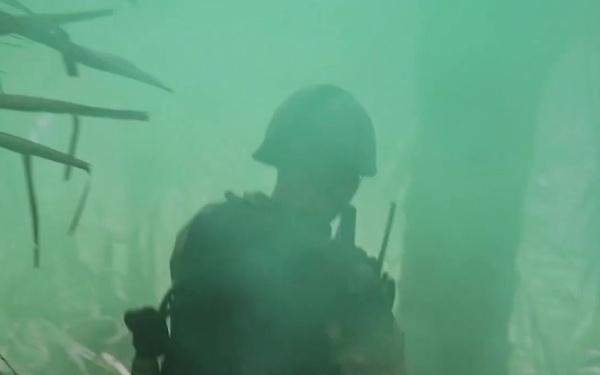 USCAP: Colombians Train Guatemalans in Riverine Operations