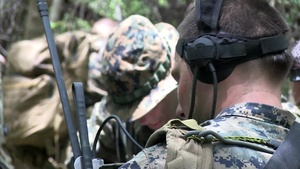 Jungle Patrolling
